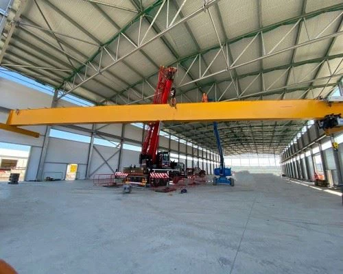 electric single beam crane (2)